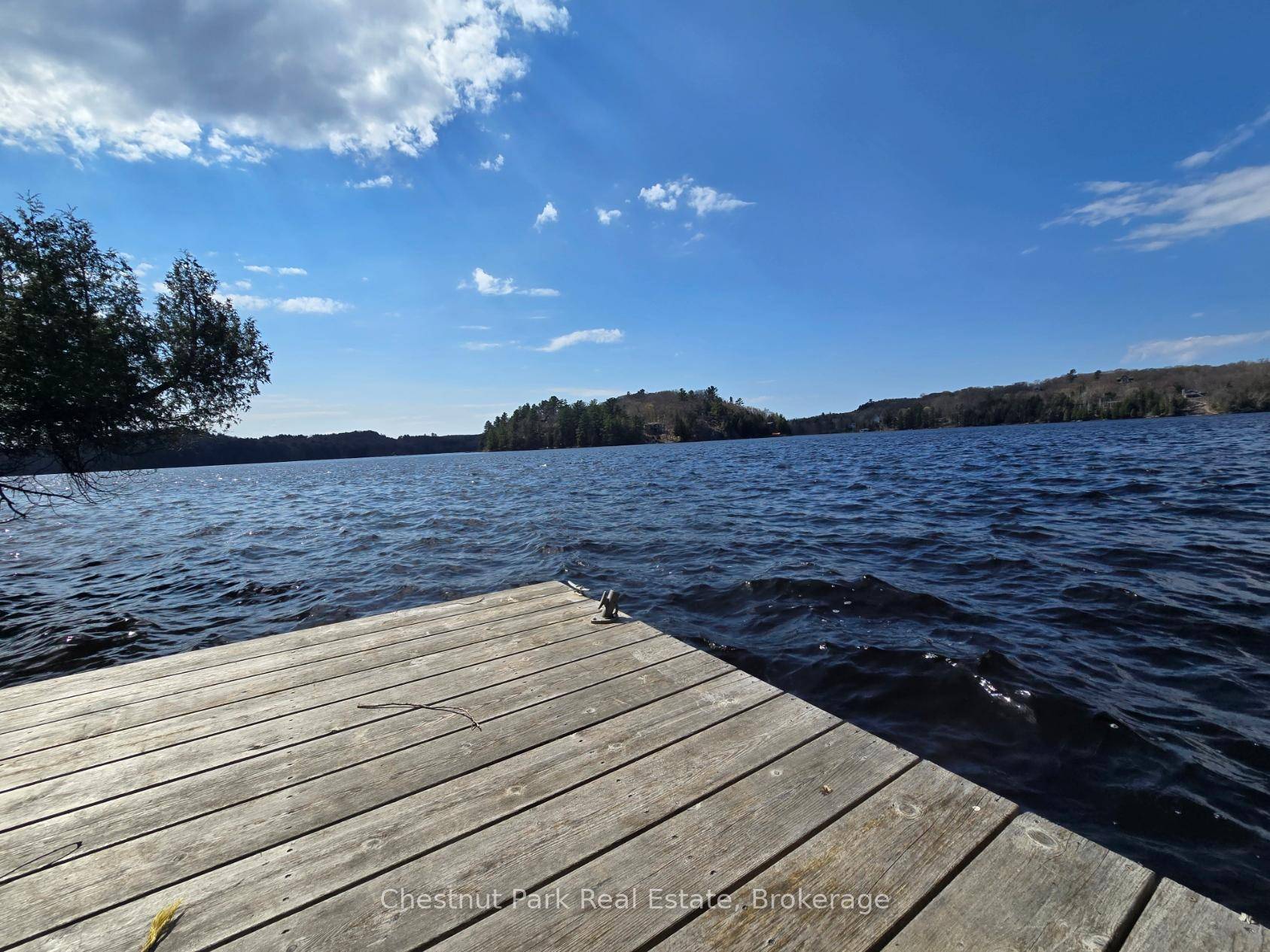Presenting one of the most breathtaking lots on Big Island Lake Vernon.