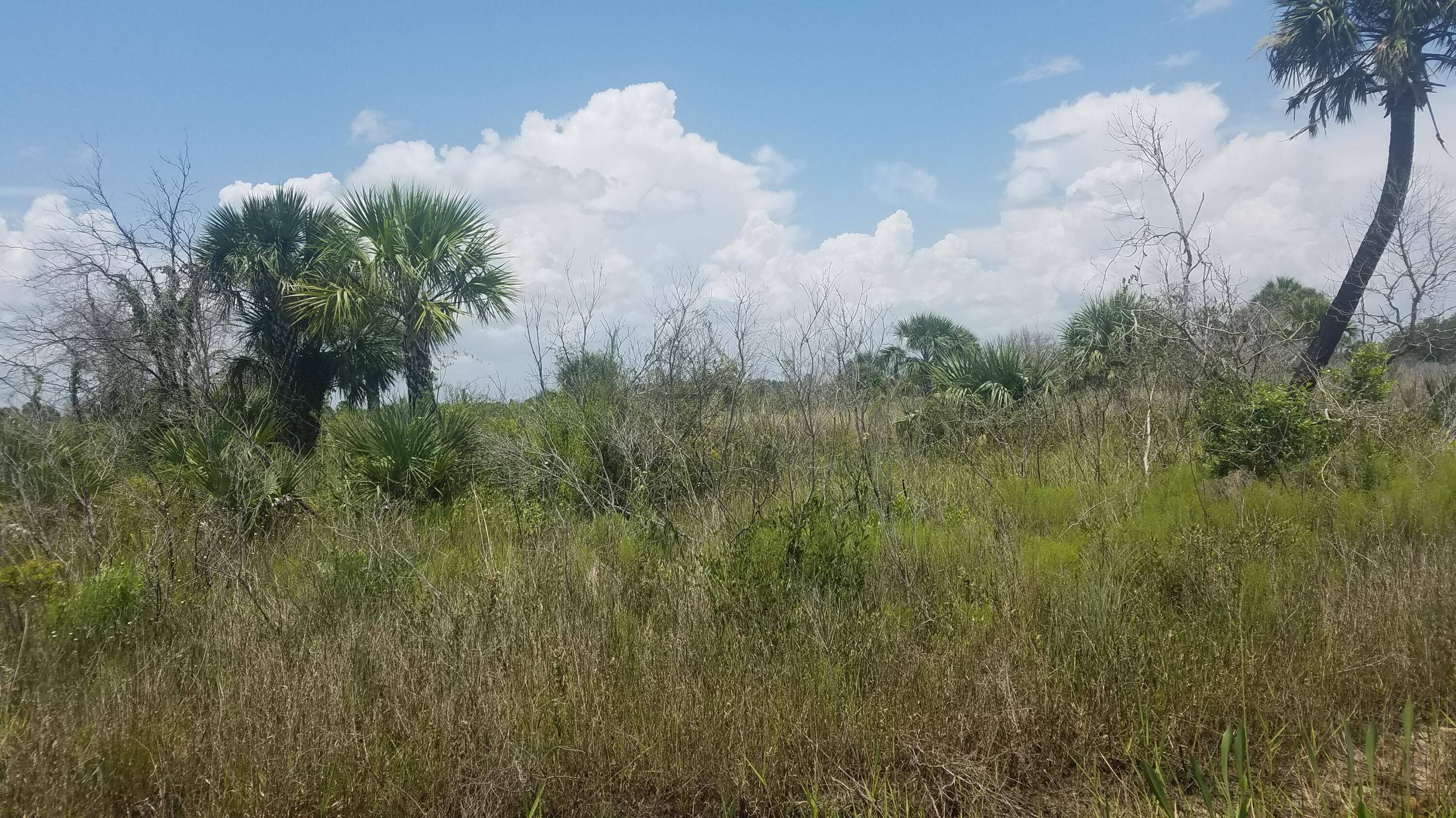 Viking 3 Acre parcel Great for recreational use.