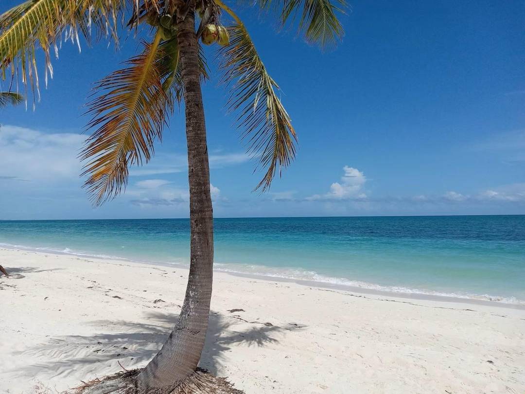 RIVIERA TOWERS CONDOMINIU Condo Grand-Bahama-Freeport