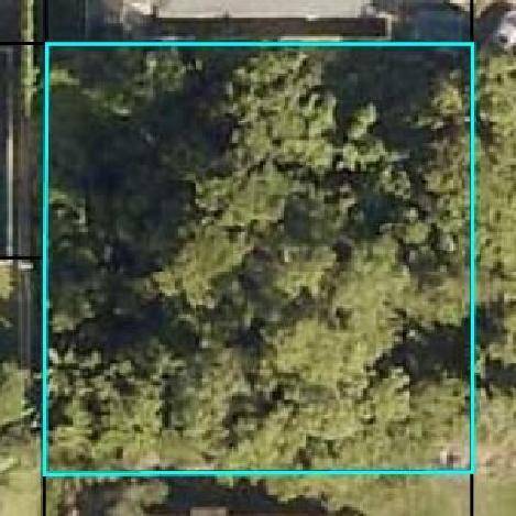 Wooded lot ready for your new home.