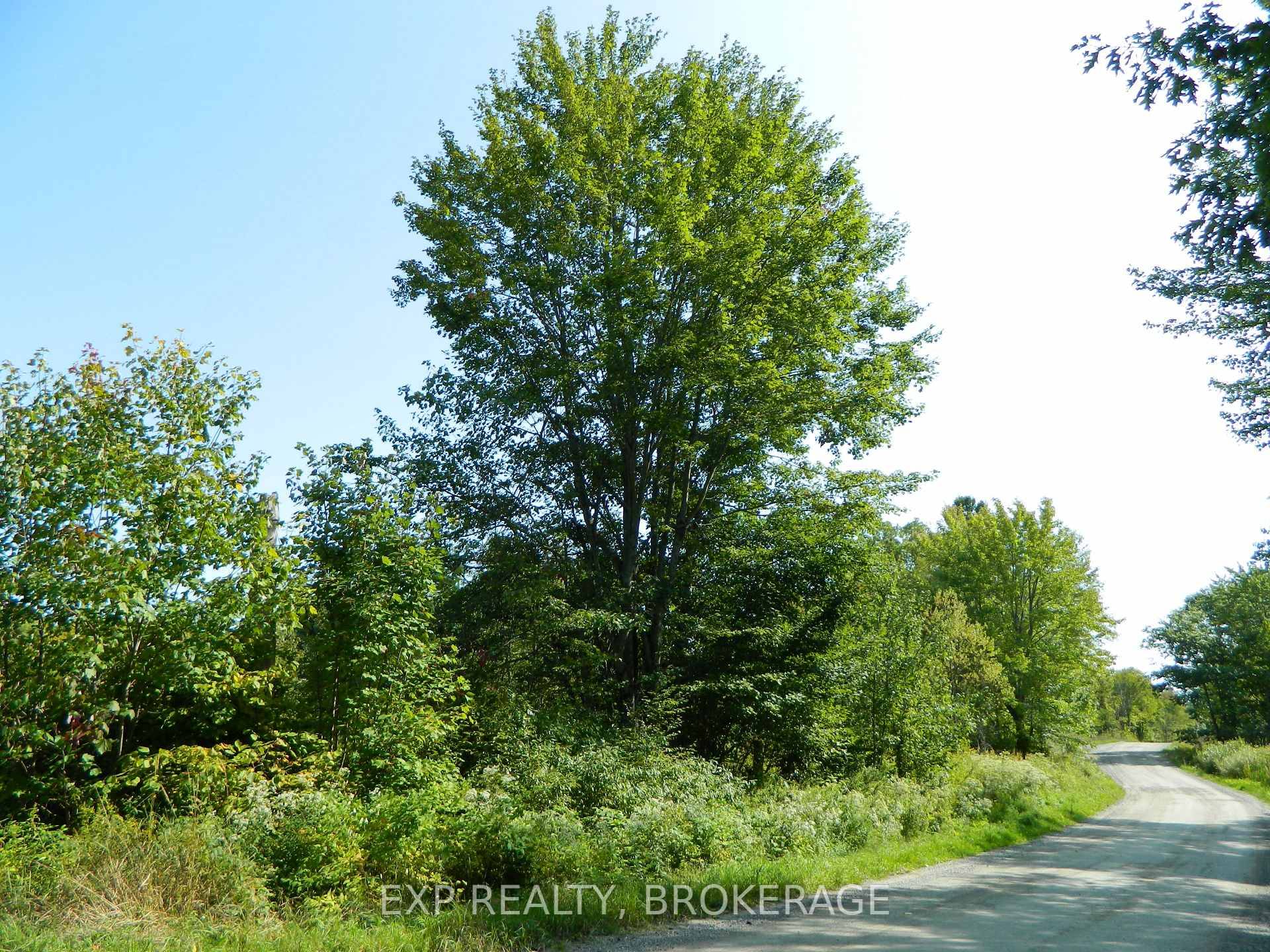 This incredible, expansive 169 acre property is a rare find.