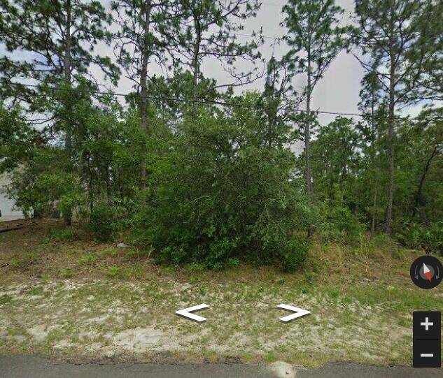This stunning lot is one of the best on the street, offering a peaceful setting surrounded by mature trees.