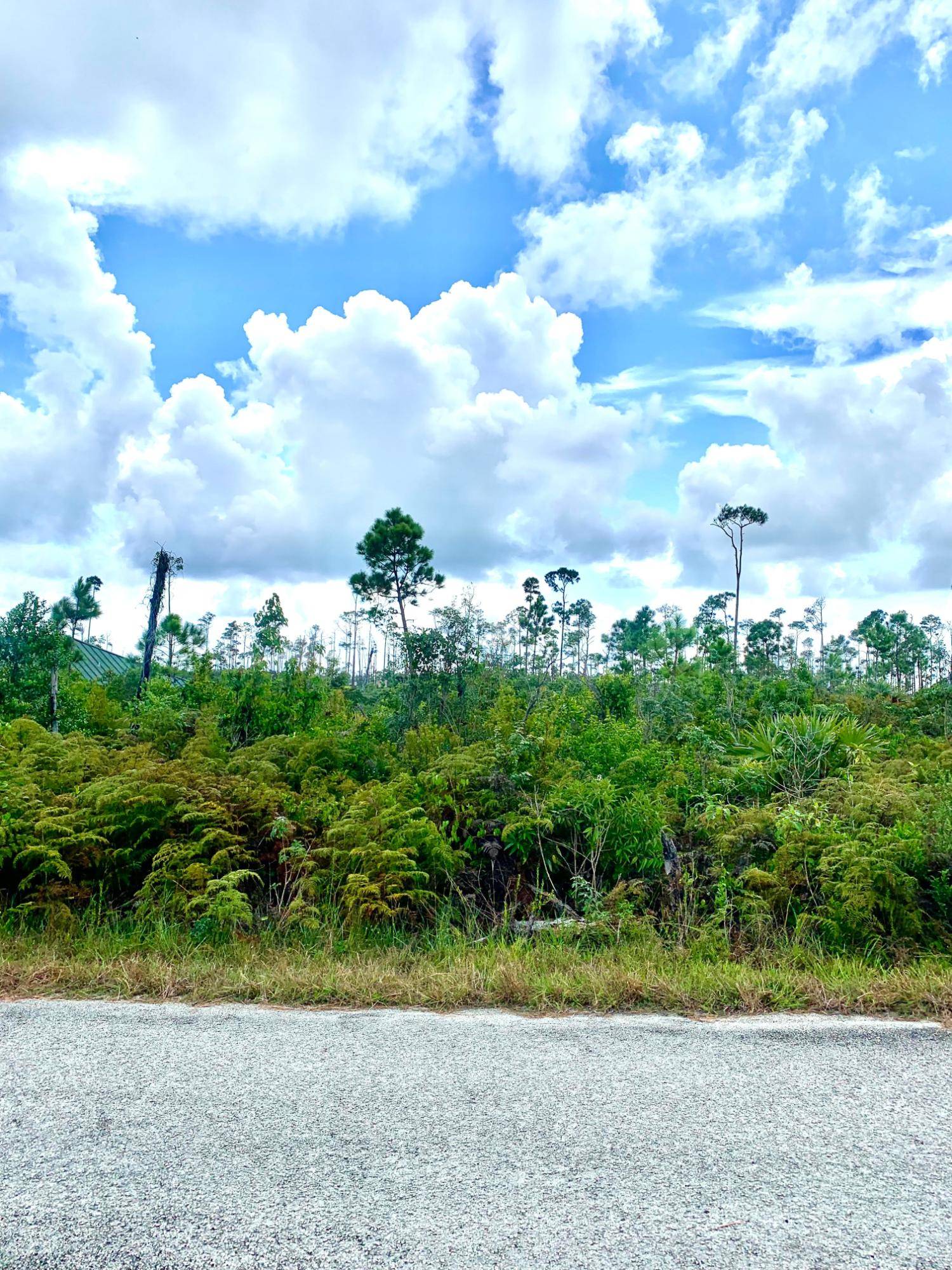 CADNEY PLACE #10 Land Grand-Bahama-Freeport