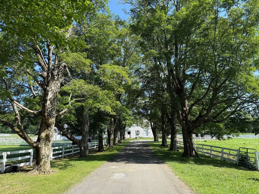 Nestled in the heart of the Berkshires, this historic Richmond compound presents a rare blend of colonial charm and equestrian excellence.