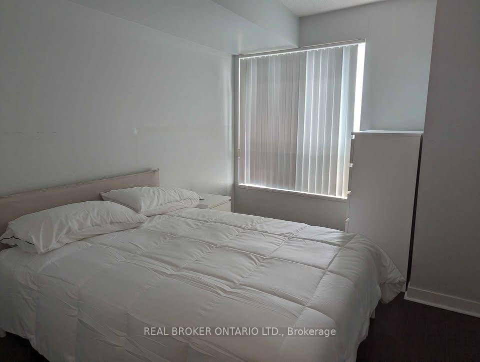 SHARED CONDO WITH SINGLE MALE.