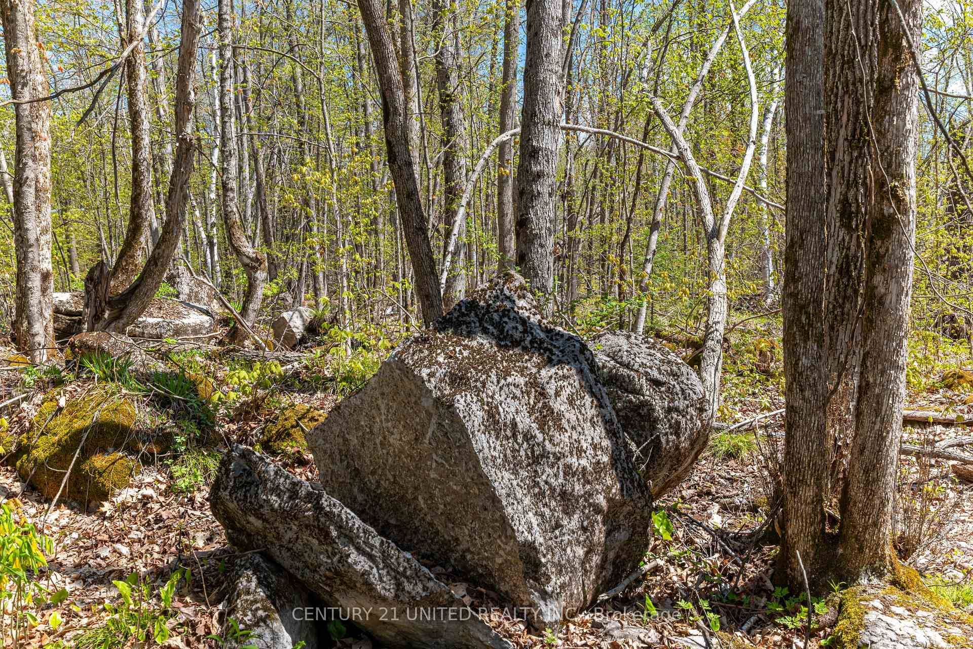 Surrounded by the tranquility of nature, this serene 7 acre lot offers year round access on a quiet municipal road with frontage on both Birchview Rd and Tedford Ln.