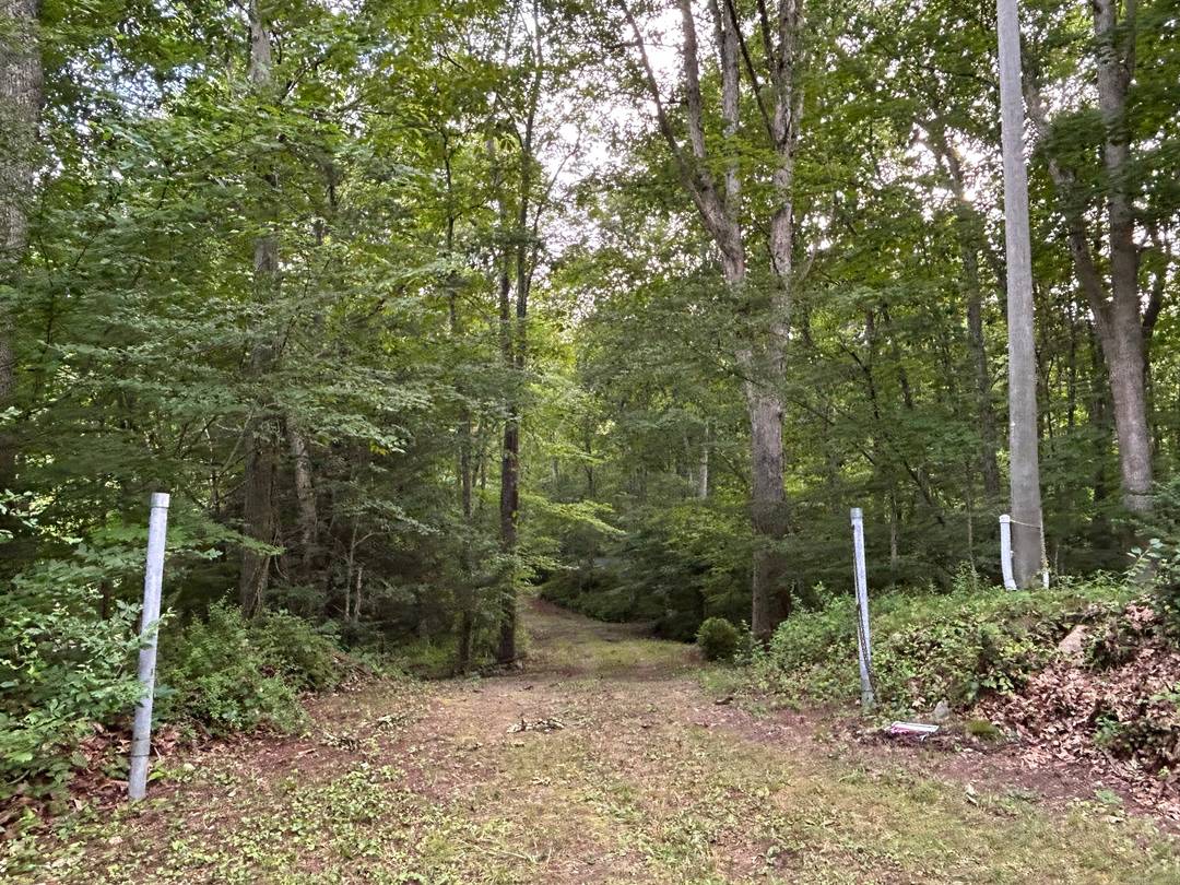 Looking for tranquility and peace ?