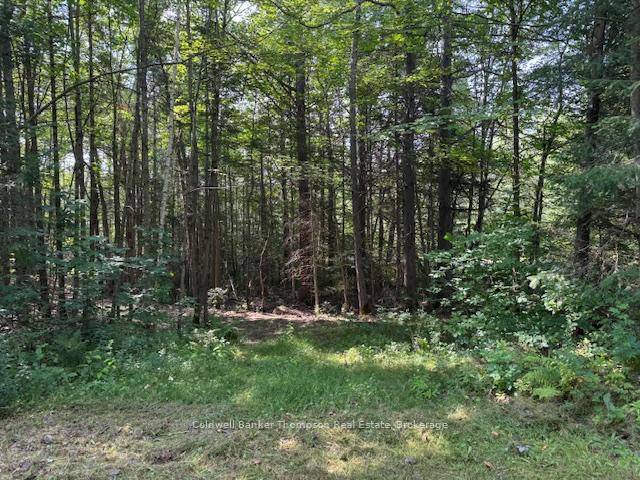 This 2. 4 acre piece of land is nicely treed with a creek.