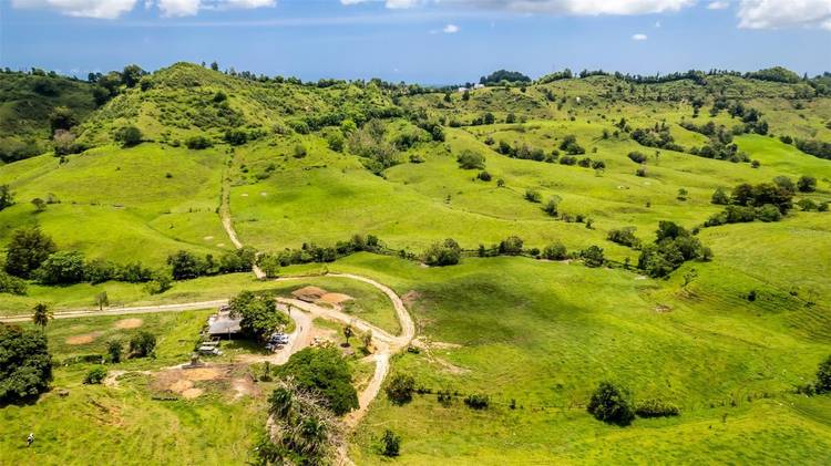 Exceptional property consisting of four contiguous parcels of land totaling 145 cuerdas approximately 140.