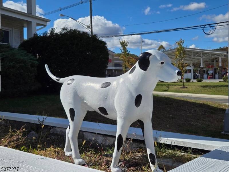 This property had been a Veterinary Hospital but in recent years has not been occupied.