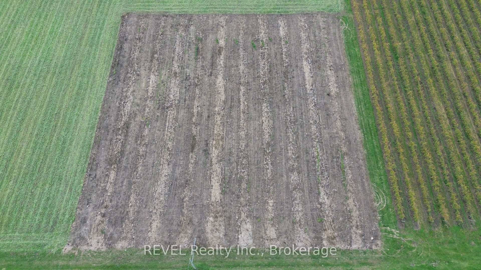 One acre building close to town, surrounded by fruit trees and a short walk to the Niagara River.