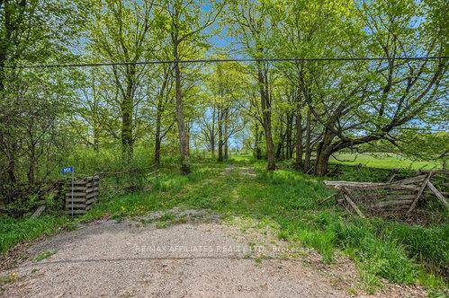 Looking for a property to start homesteading ?