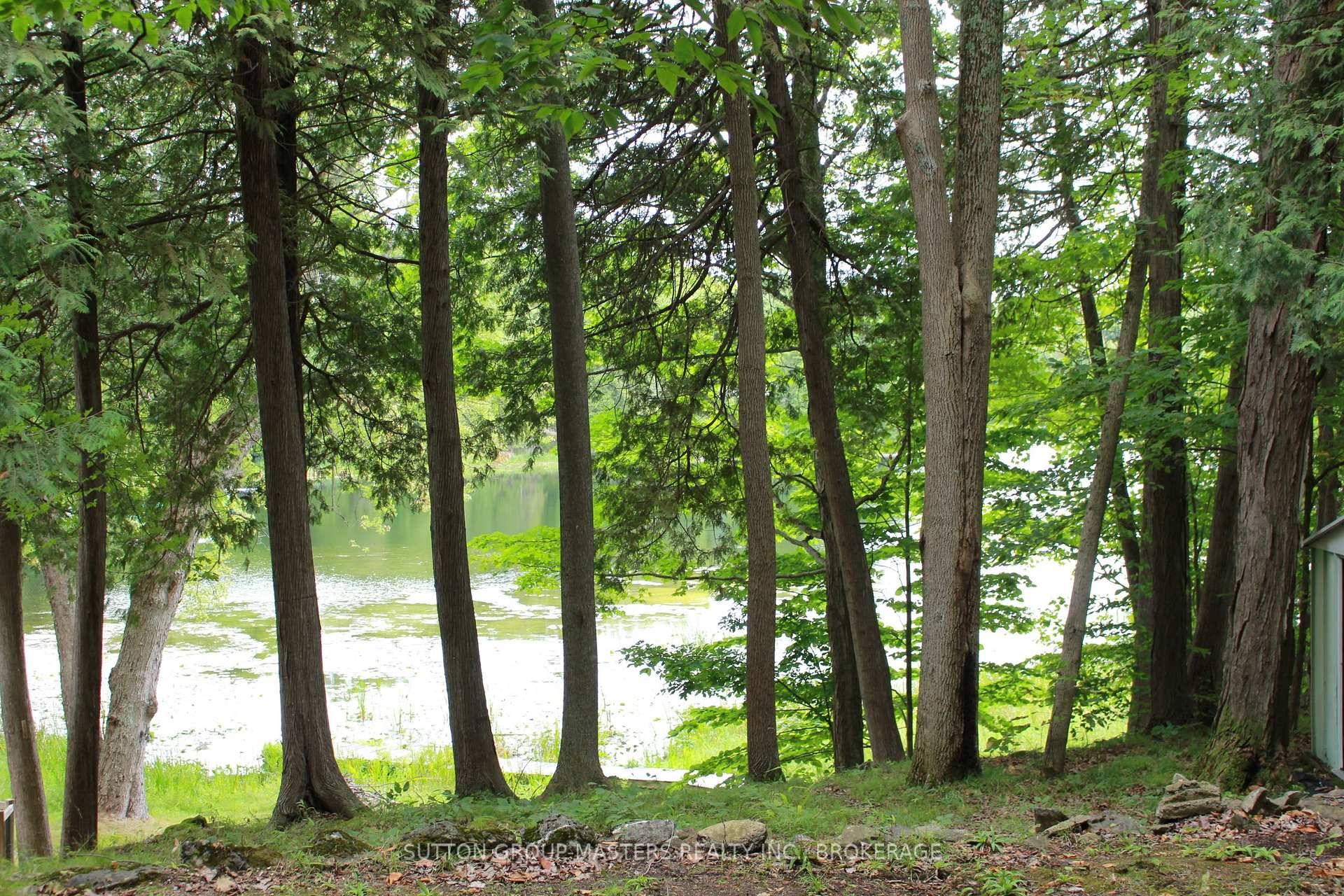 This waterfront property offers natural beauty nestled along the shoreline of Silver Lake.