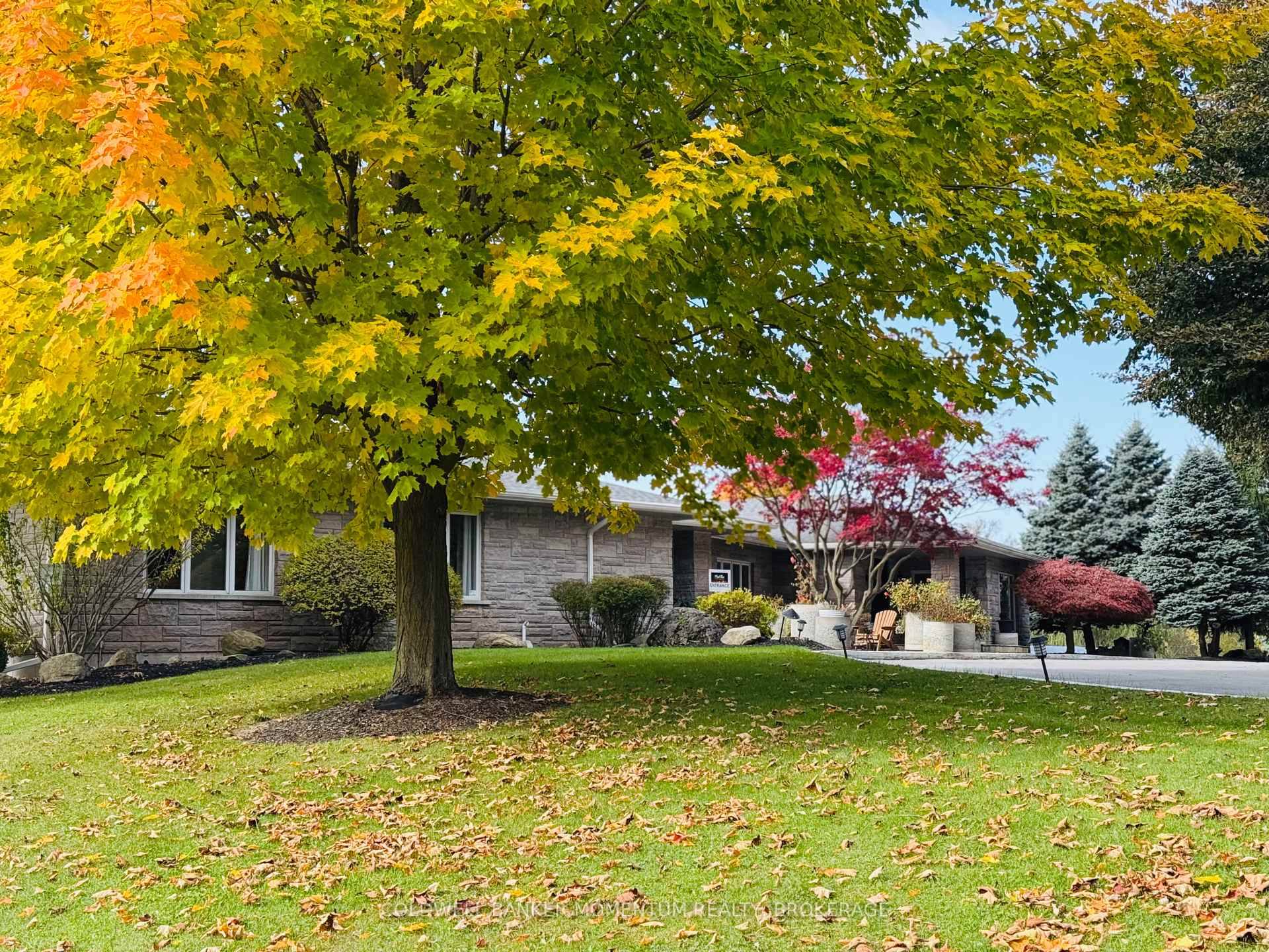 Welcome to your dream home !