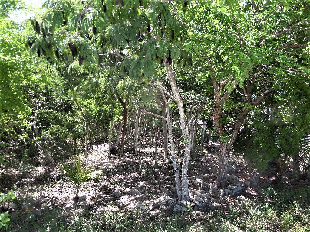 HAMILTON'S LOT Land Long-Island-Bahamas