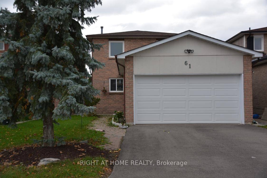 Welcome To This Beautiful amp ; Bright Detached 3 Bedroom Home with Finished Basement Located In The Highly Sought After Area Of North Richvale.