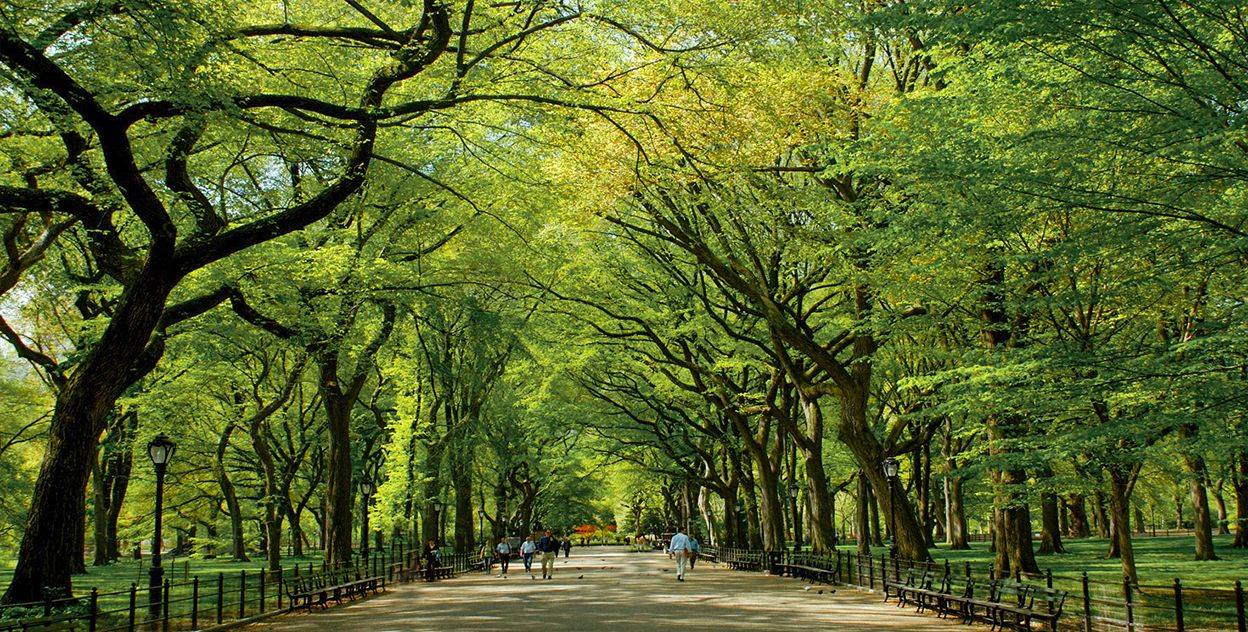 For 3D tours of our apartment homes, please visit Carnegie Mews website.