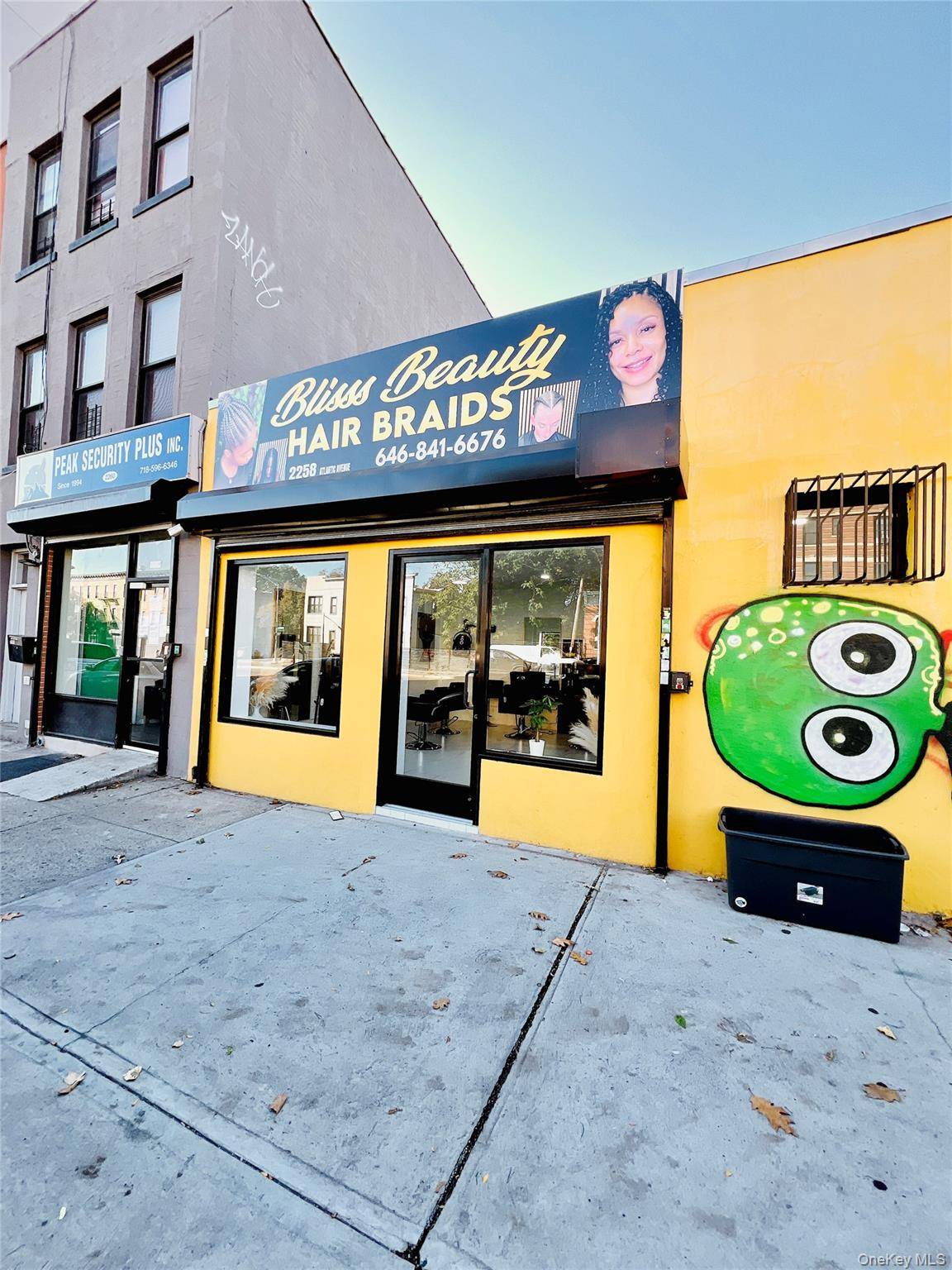 Brooklyn Development Assemblage Up to 28, 000 Buildable Square Feet 2258 Atlantic Avenue, 185 Rockaway Avenue, 187 Rochester Avenue, 189 Rockaway Avenue amp ; 189A Rockaway Avenue, Brooklyn, NY Prime ...