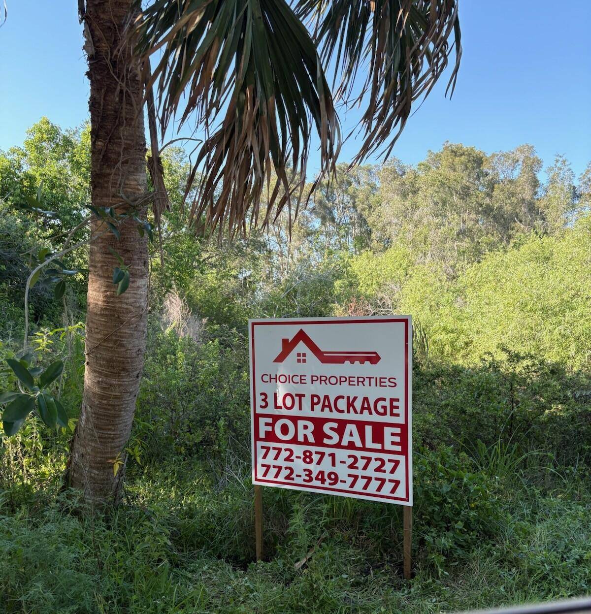 Desirable Regina Palms Subdivision Just Minutes to Treasure Coast BeachesNestled in the heart of the Treasure Coast, this premium lot in the Regina Palms Subdivision offers the ideal location for ...