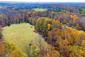 Nature and Privacy Abound in Woodstock Come to Northeastern Connecticut and see what all the buzz is about !