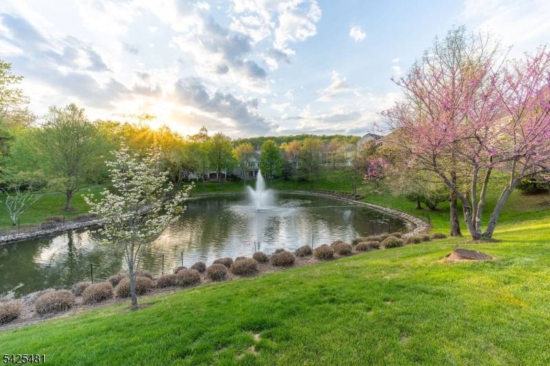 Amazing 55 Community ! Luxury single family home in highly desirable setting of adult community with tons of amenities.