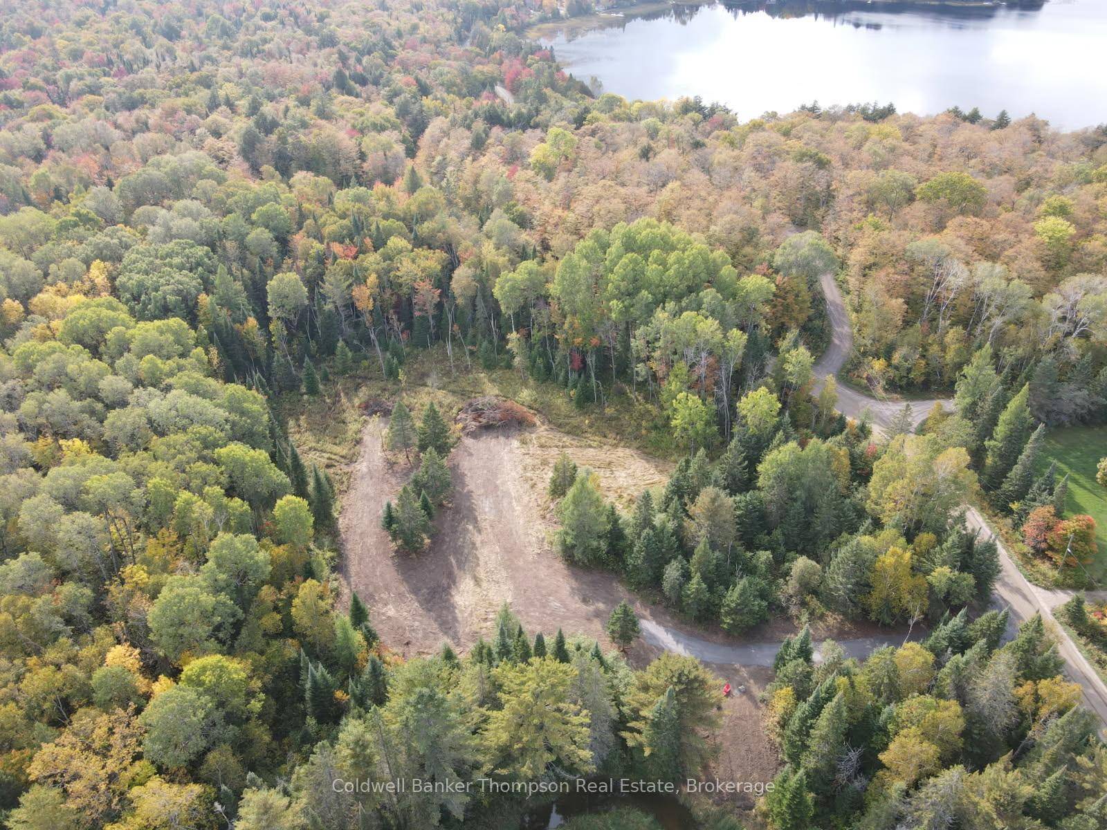 Discover the possibilities with this beautiful vacant land parcel offering over 300 feet of frontage and more than 5 acres near scenic Bartlett Rainy Lake.