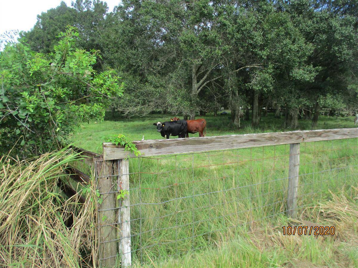 DEED RESTRICTIONS PLATTED.