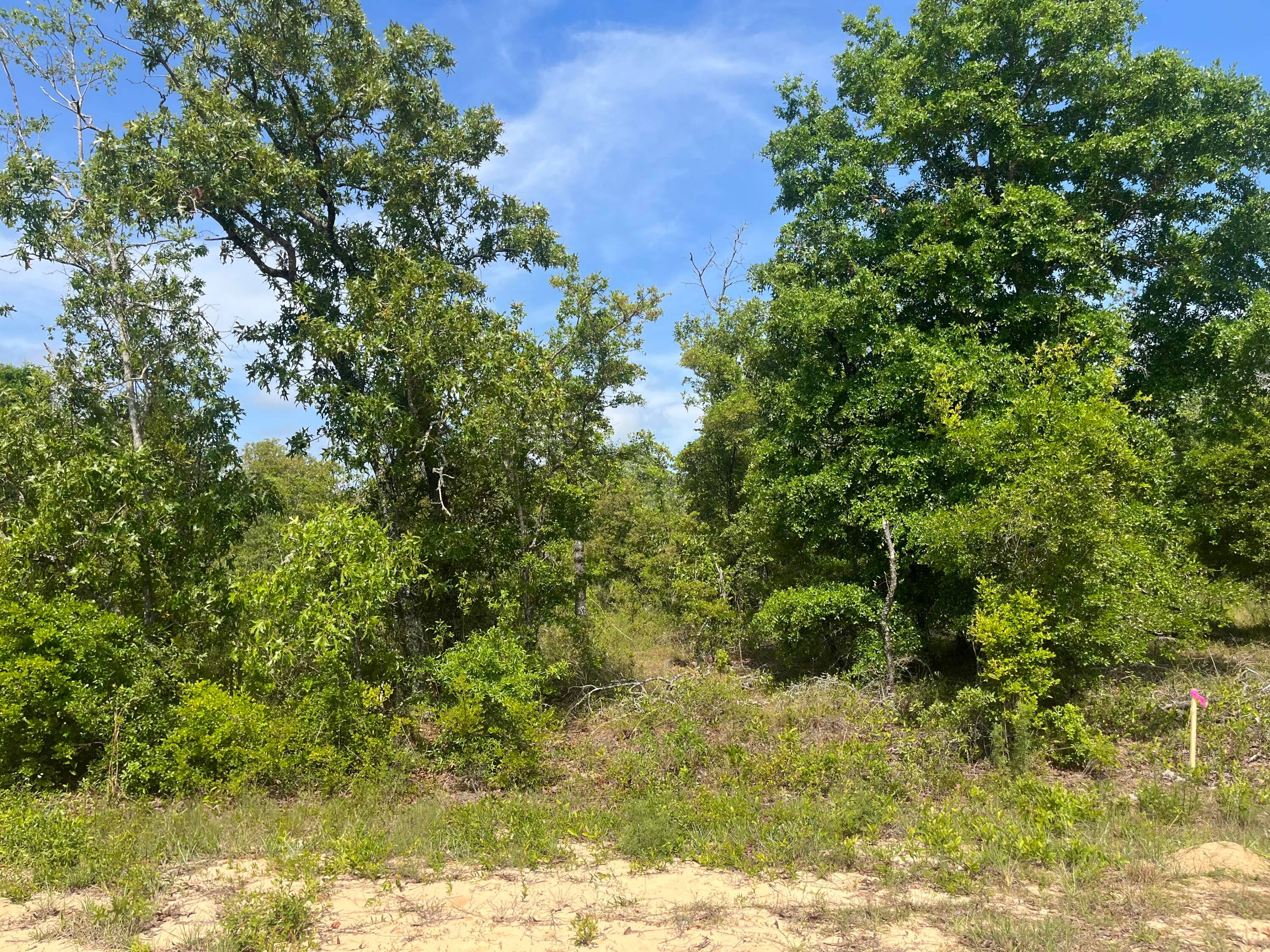 Don't miss out on this wooded 0.