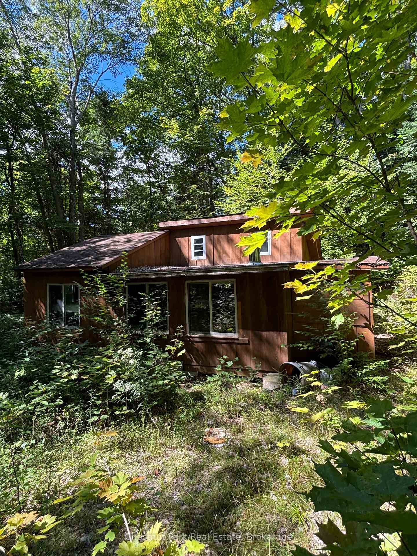 7. 5 well treed acres with a small cabin that has been used as a hunt Camp for years.