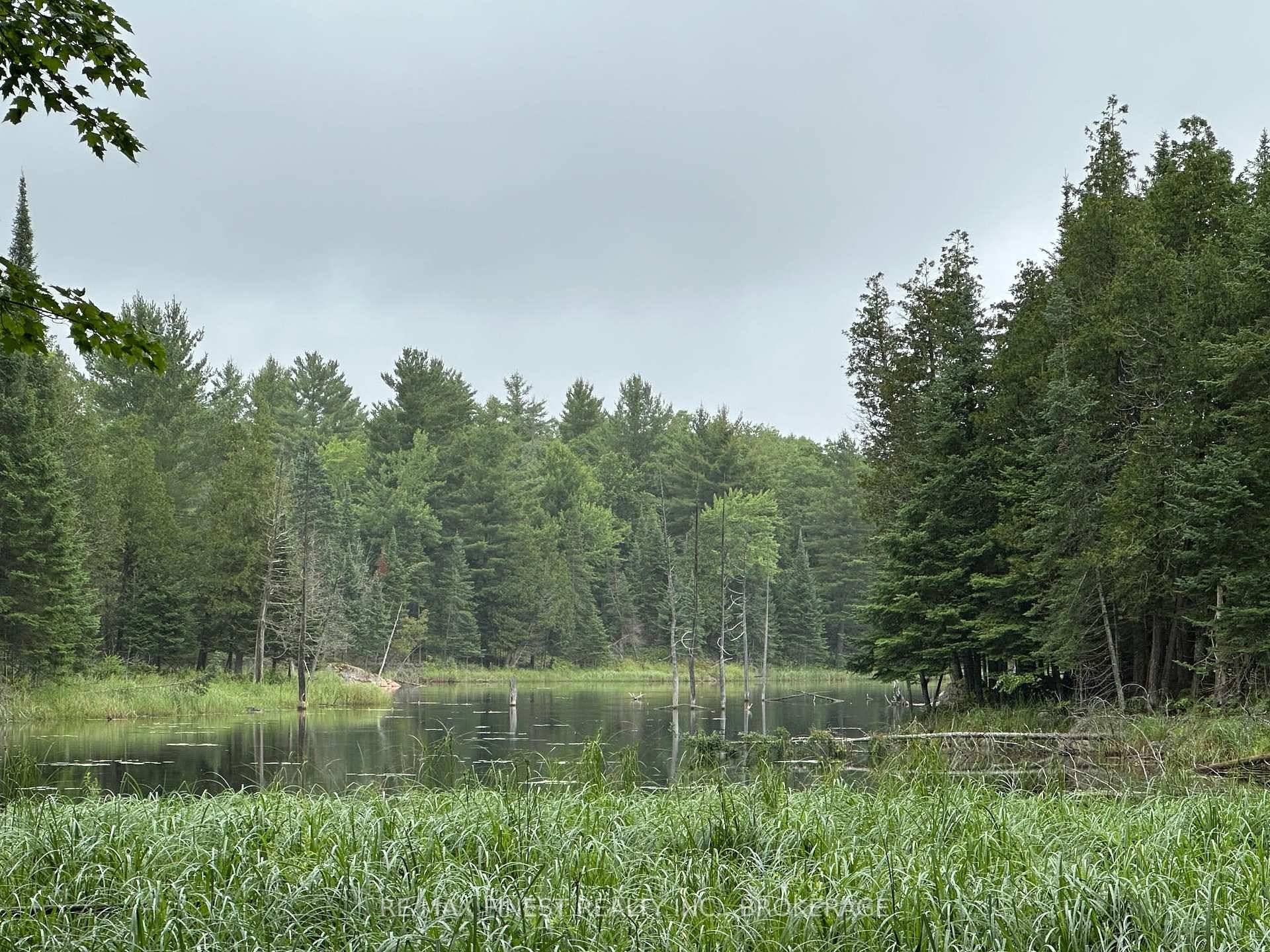 Discover the ultimate retreat with this expansive 275 acre recreational property, ideally located just north of Sharbot Lake in scenic Frontenac County.