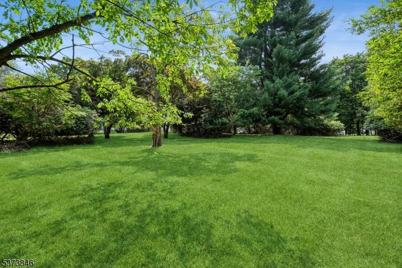 Build Your Dream Home Prime land opportunity 80 x 225.