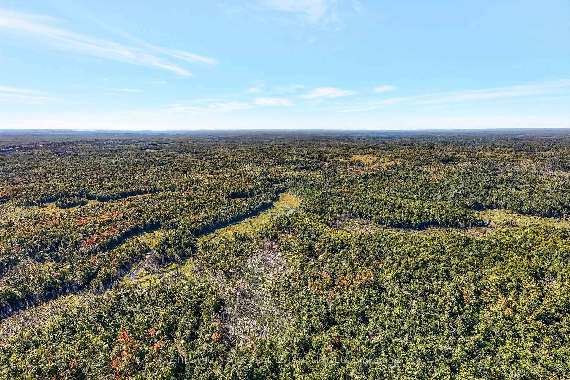 520 Acres of rolling forests, marshland, streams and ponds, tirelessly managed to optimize habitat for wildlife in the pursuit of the ultimate generational hunting and recreational property.
