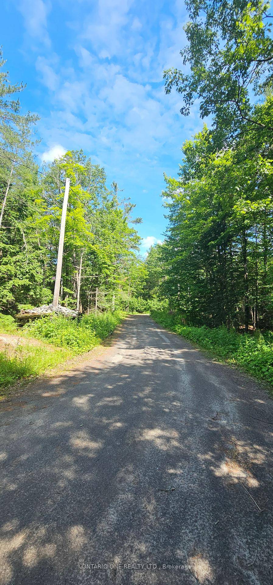Peaceful country living on nearly 10 private acres.