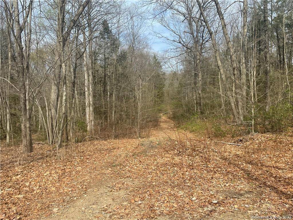 Incredible Opportunity in Wilton 41 Acres.