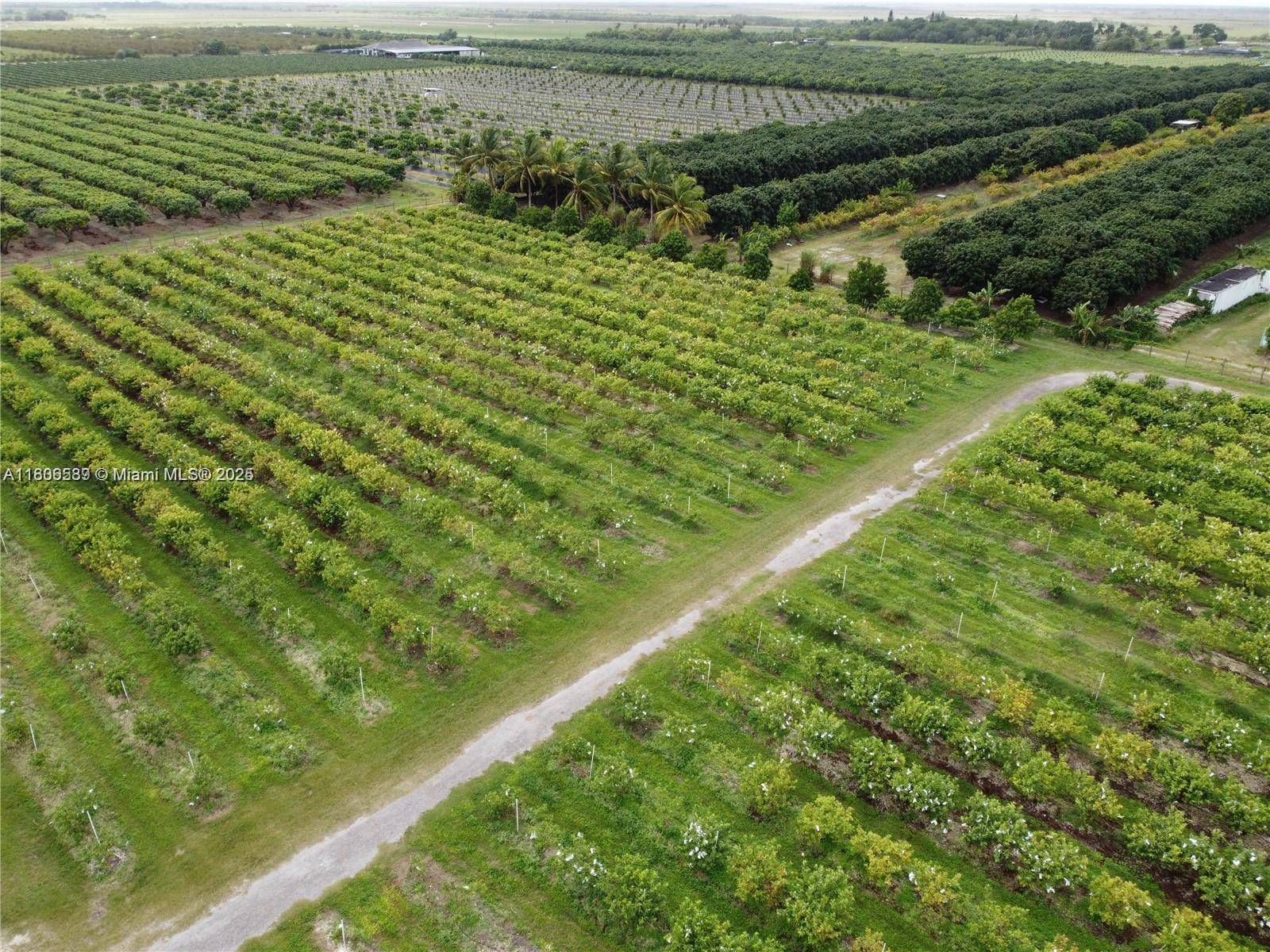Explore this prime 10 acre nursery, home to approximately 4, 000 healthy guava trees.