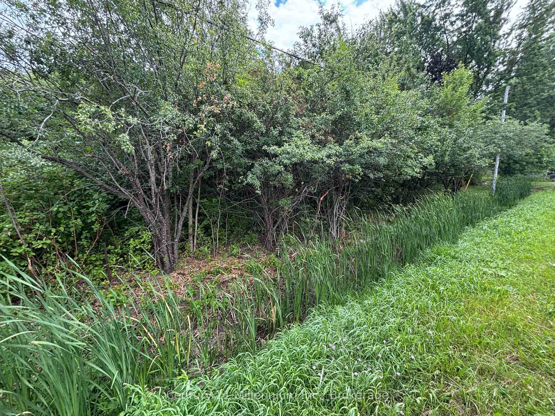 Build your dream home on this elevated, high and dry rural lot, offering potential views of the scenic valley, rolling hills, and even distant glimpses of Georgian Bay.