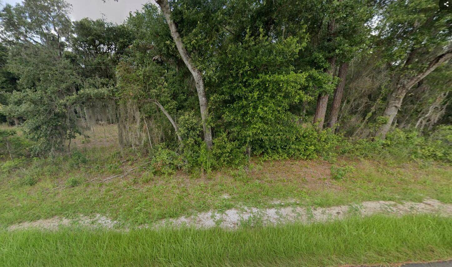Come check out this beautiful lot located in the growing community Wood Lakes.