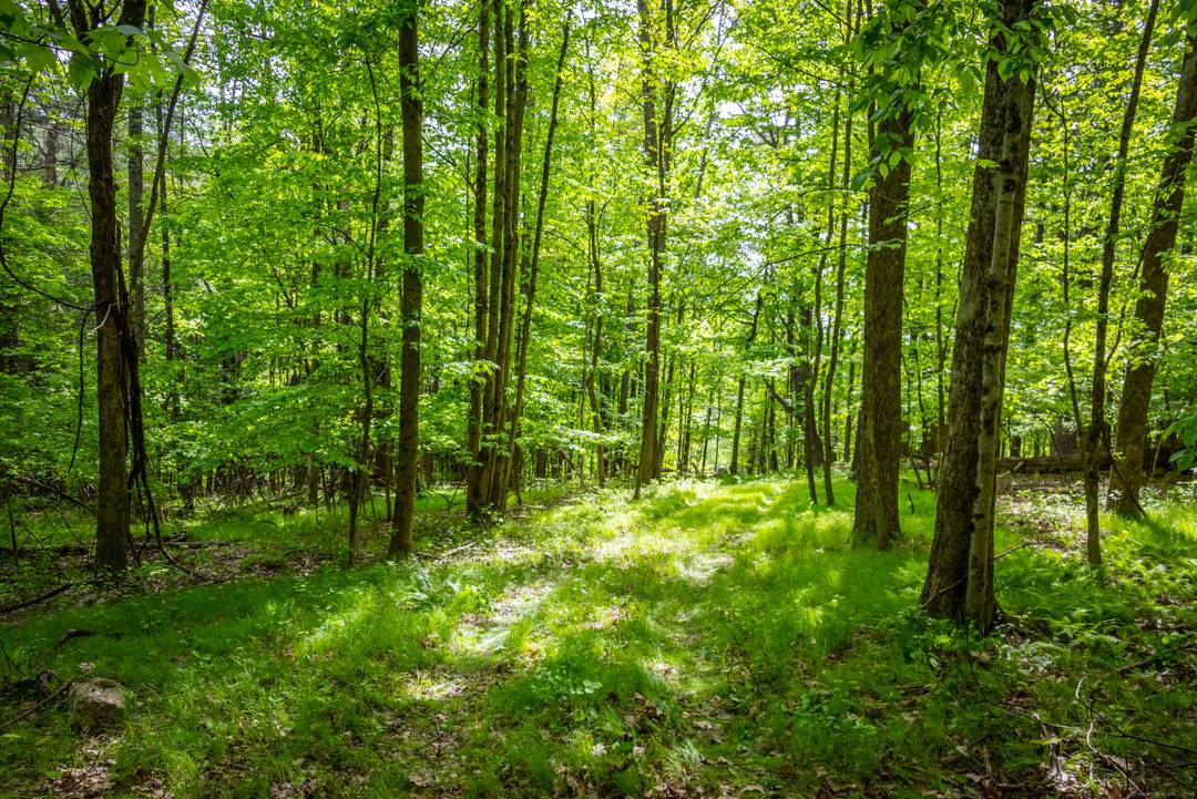 This stunning 29 acre lot is part of a subdivision from a much larger parcel.