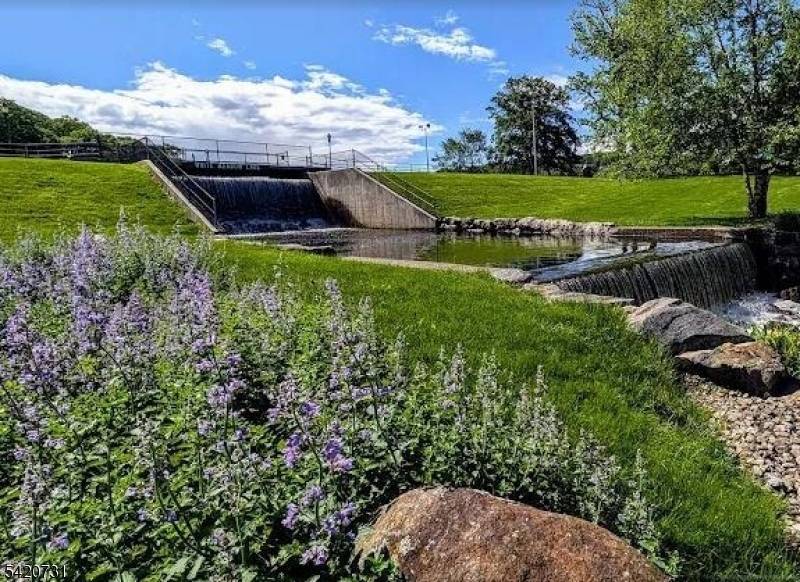Lake views or mountain privacy ?