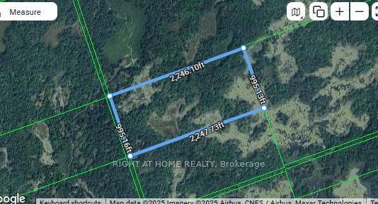 50 Acres of Untouched Wilderness for Adventure Seekers, Hunters, and Nature Enthusiasts !