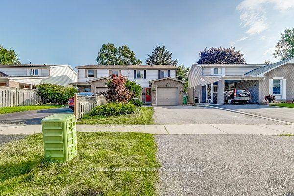 A beautiful bachelor basement apartment for 1 or 2 persons with a walk in closet.