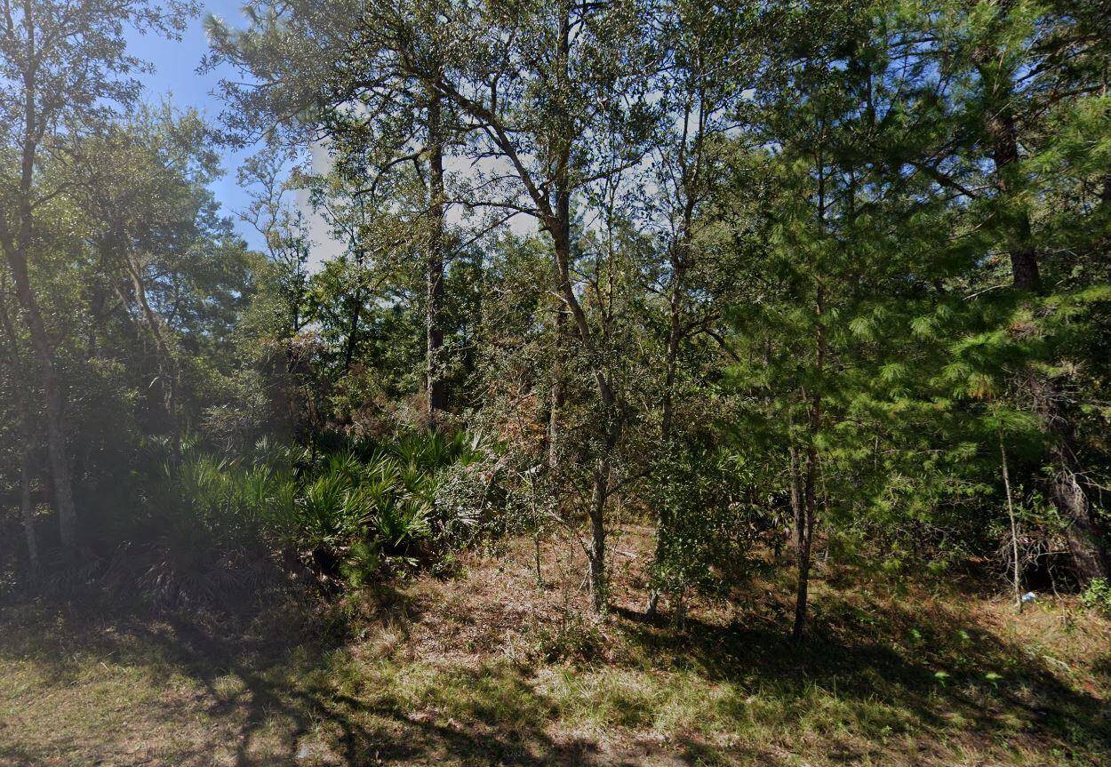 Build your dream home or invest in the future on this 0.