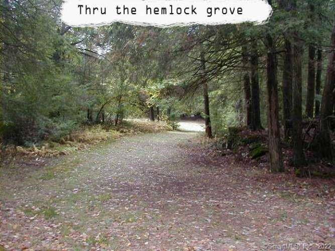 100 acres of mostly wooded land.
