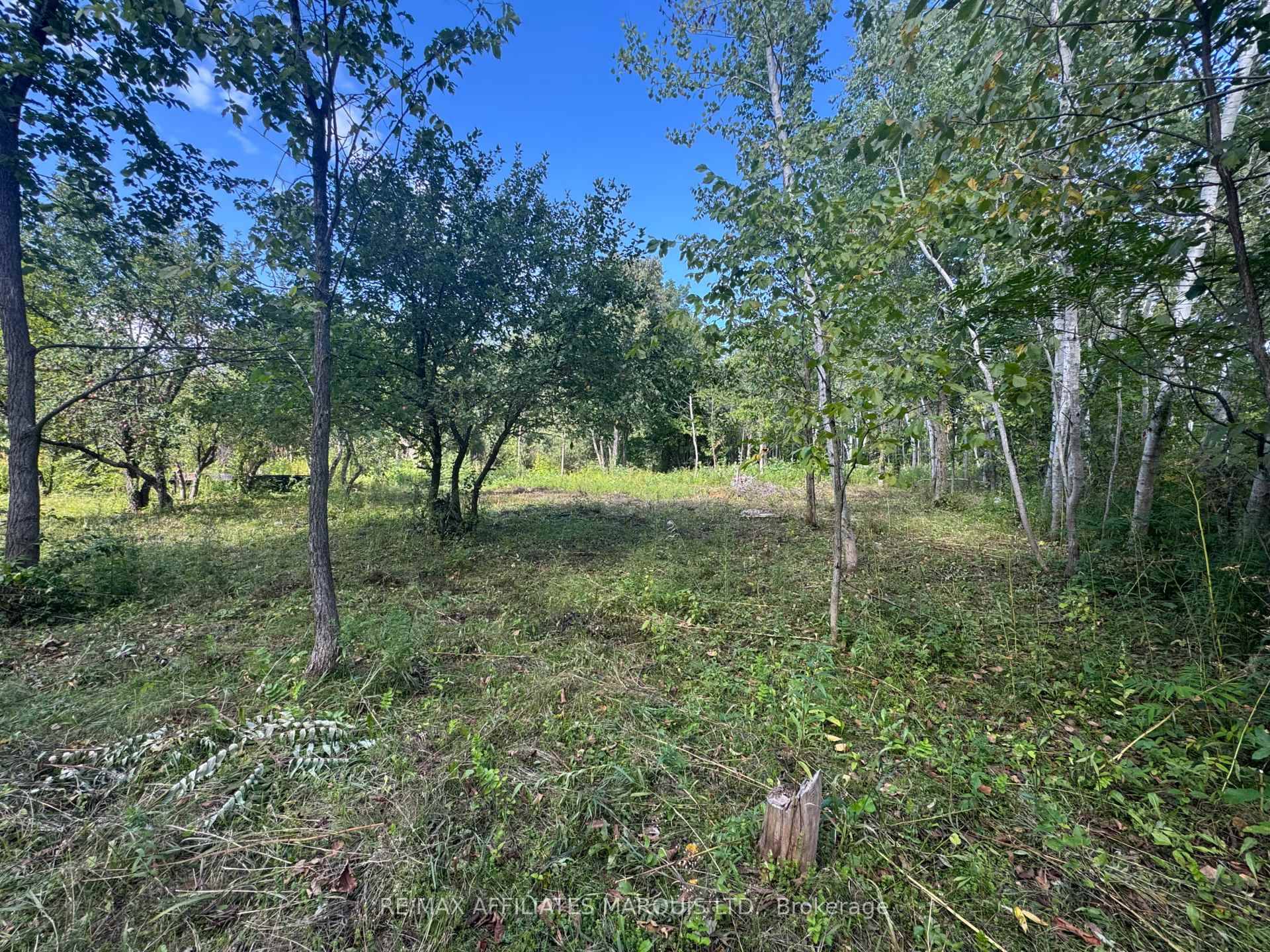 Are you looking for a rural lot to develope ?