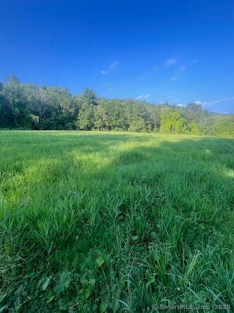 Beautiful 107 acres approx 94 acres on one side and approx 13 across the street.