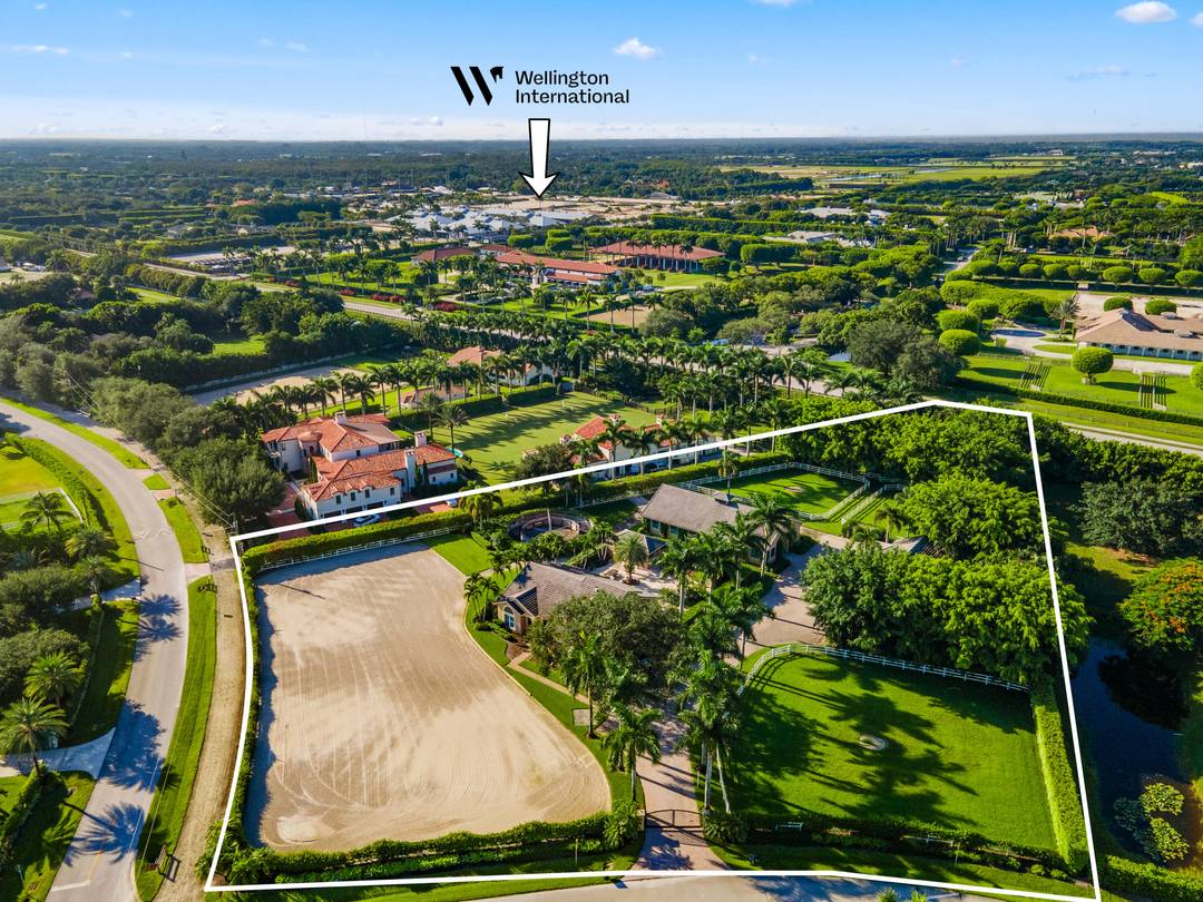 Hand walk your horse to Wellington International !