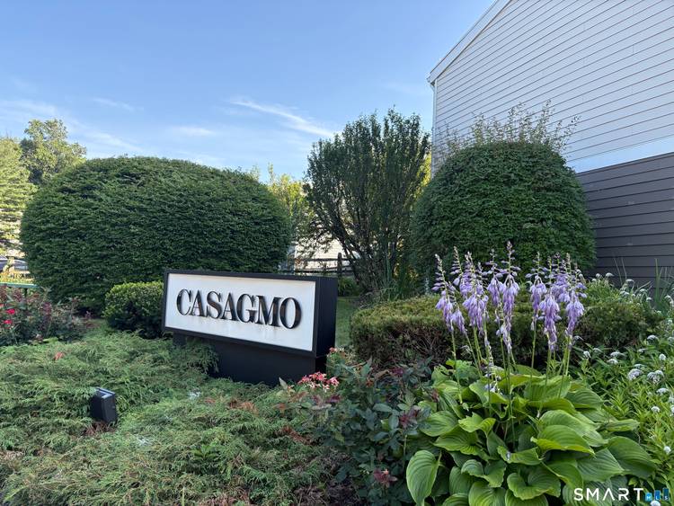 Welcome to 31 Olcott Way !