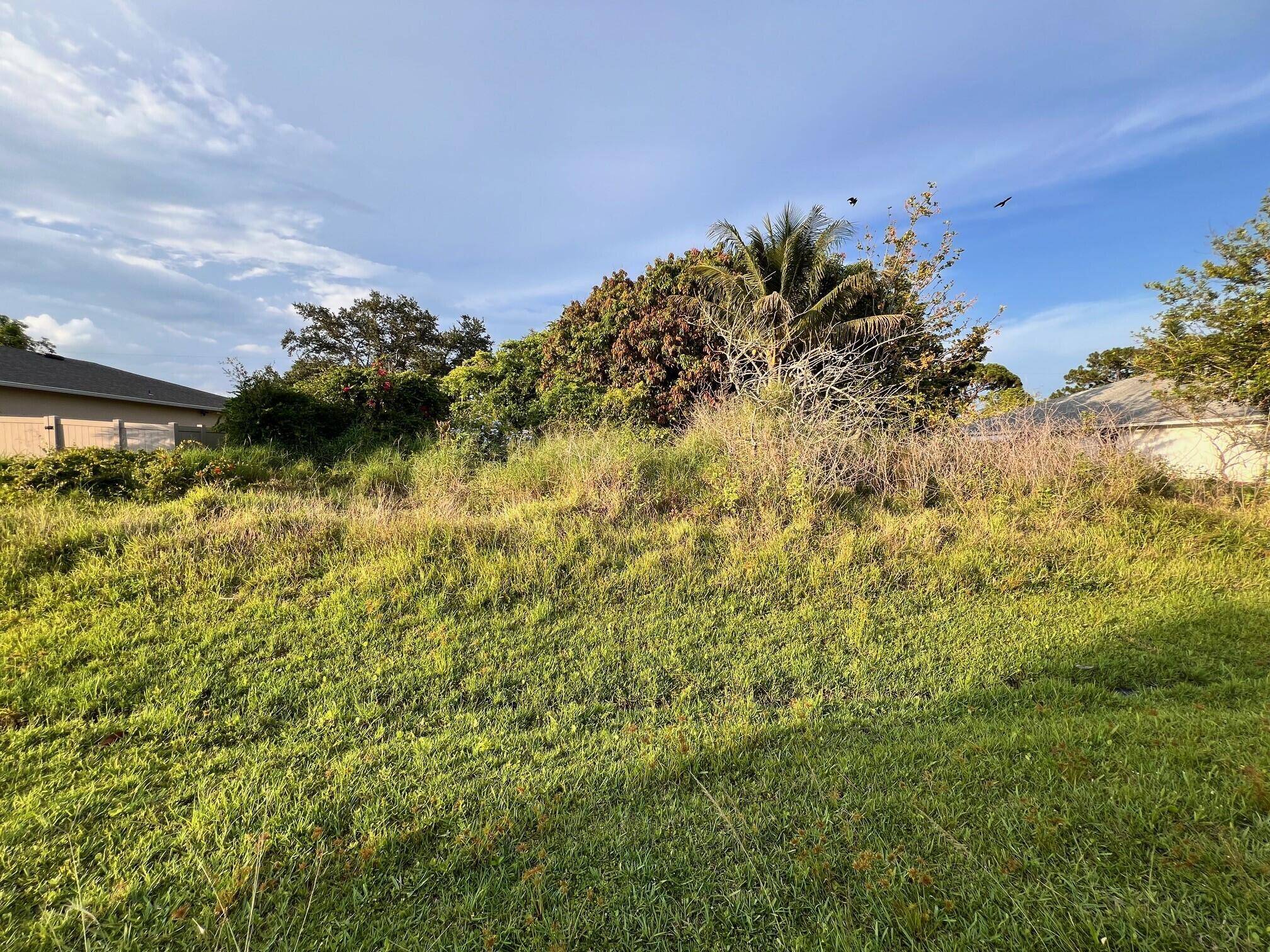 Brand new land listing with nice elevation and plenty of mature fruit trees mangoes.