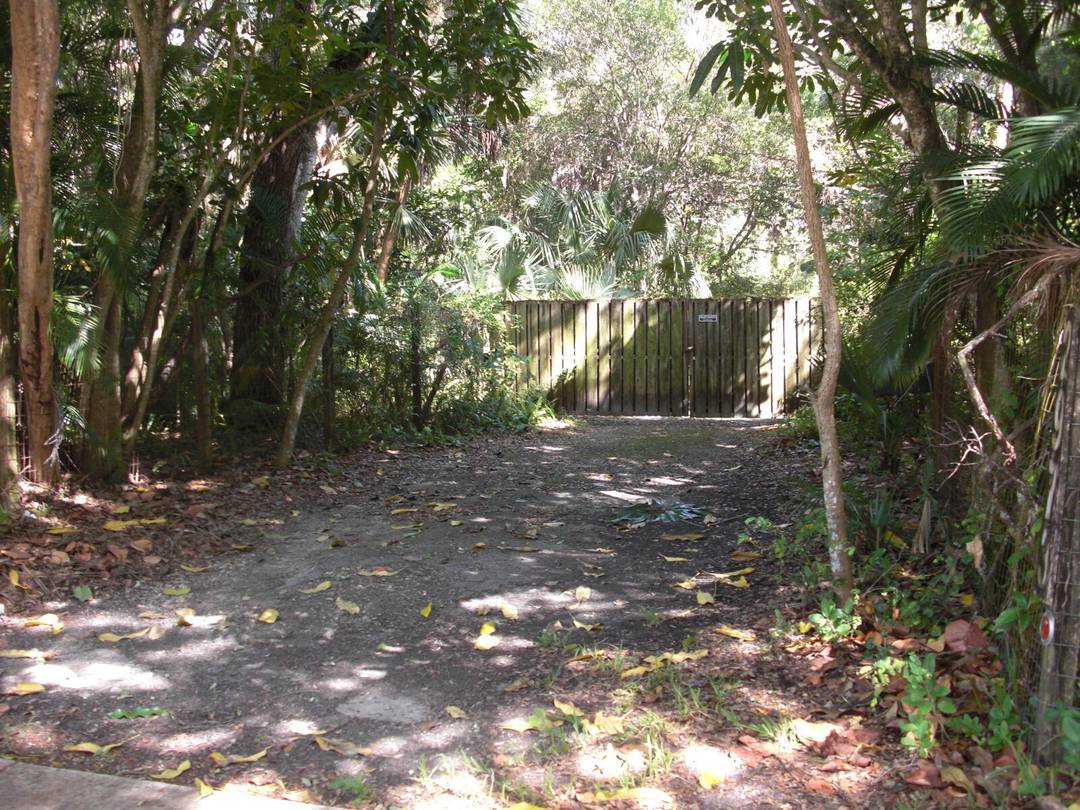 Never before offered... great for an investor builder or individual to build a custom estate home on a huge oversized lot w live oaks, pines and palms.