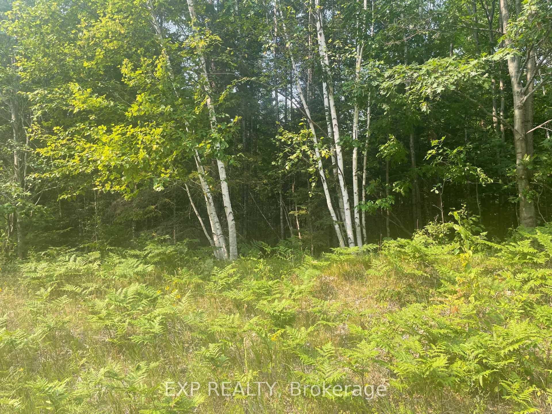 A perfect place to build your dream home on this over 7 acre piece of land.